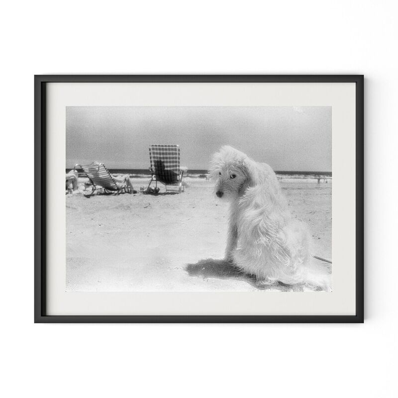 Lois At The Beach image number 2