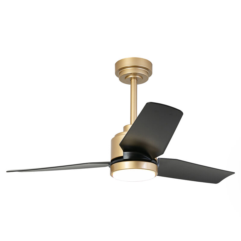 42" Modern Gold ABS 3-Blade Ceiling Fan with Light and Remote