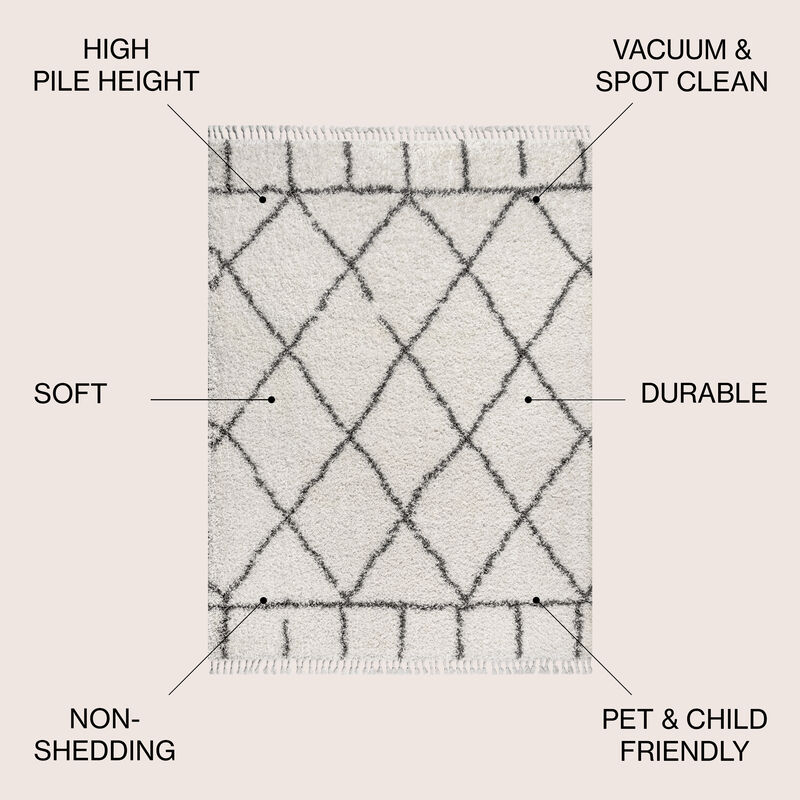 Mercer Shag Plush Tassel Moroccan Geometric Trellis Area Rug