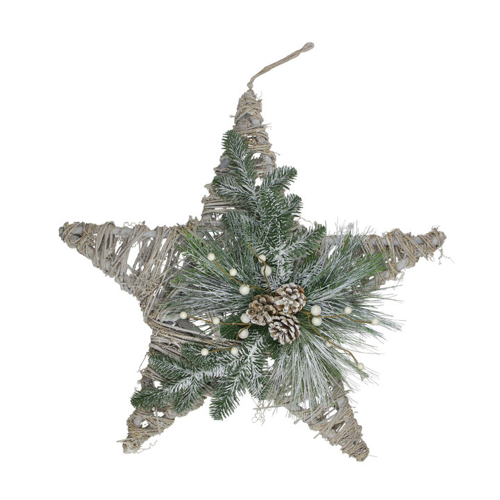 24" Green  Gray  and Brown Frosted Mixed Pine Hanging Star Christmas Ornament