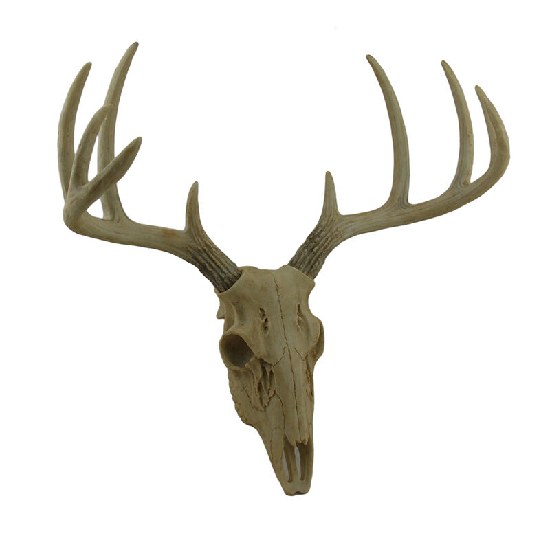 Little Bucky Wall Mounted Faux Aged Finish 10 Point Antlers Deer Skull 15 Inch image number 0