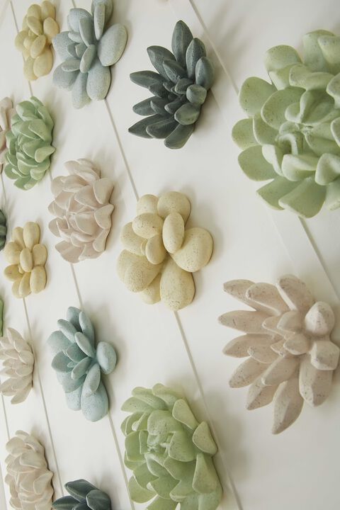 Oviferum Succulent Wall Art in Chartreuse