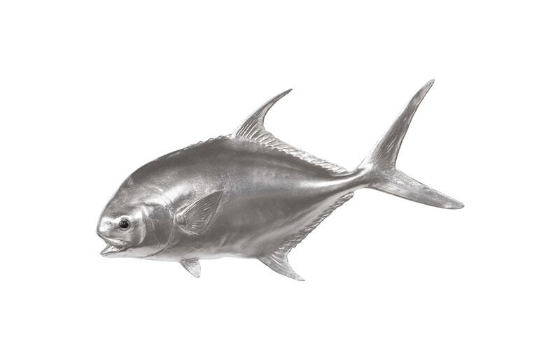 Permit Fish Wall Sculpture