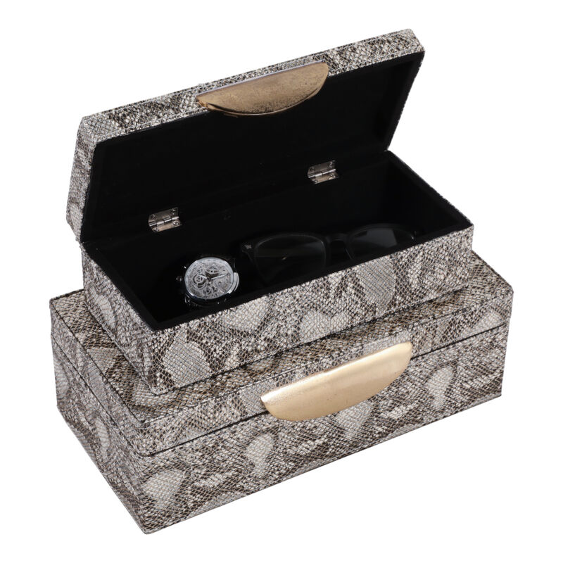 S/2 Shimmer Snakeskin Boxes image number 2
