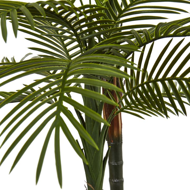 HomPlanti 5.5 Feet Double Robellini Palm Tree UV Resistant (Indoor/Outdoor)