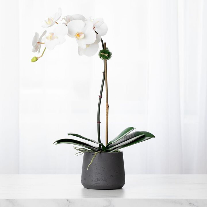 Faux Potted Orchid Plant - White Orchid- 21"