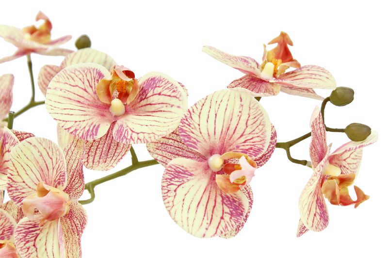 Artificial 4-Stem Phalaenopsis Orange Orchid image number 2