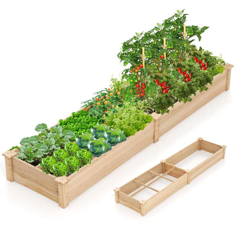 Raised Garden Bed with 2 Planter Boxes and Dividers for Organized and Efficient Outdoor Gardening