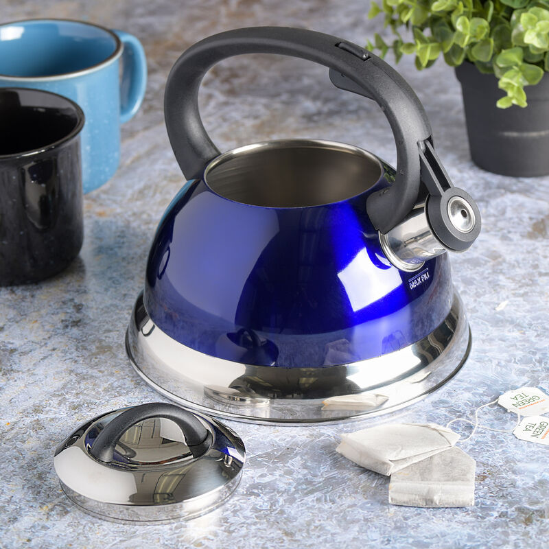 Mr. Coffee Flintshire 1.75 Quart Whistling Stovetop Tea Kettle in Blue