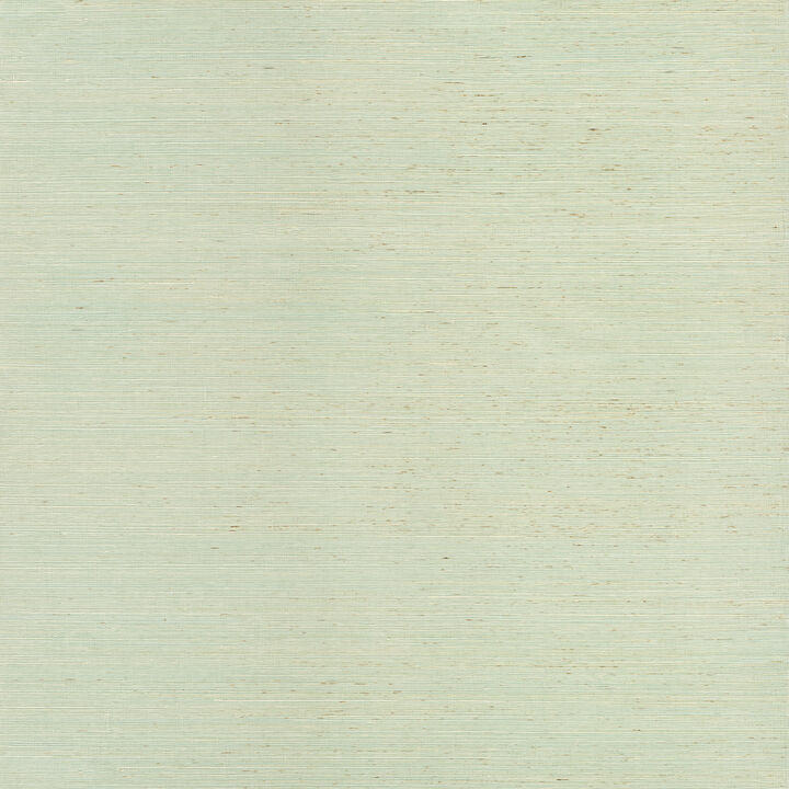 Sakiya Seafoam Sisal Grasscloth Wallpaper (Set of 2)