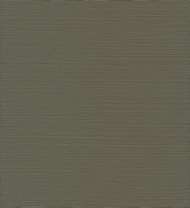 Caihon Green Sisal Grasscloth Wallpaper (Set of 2)