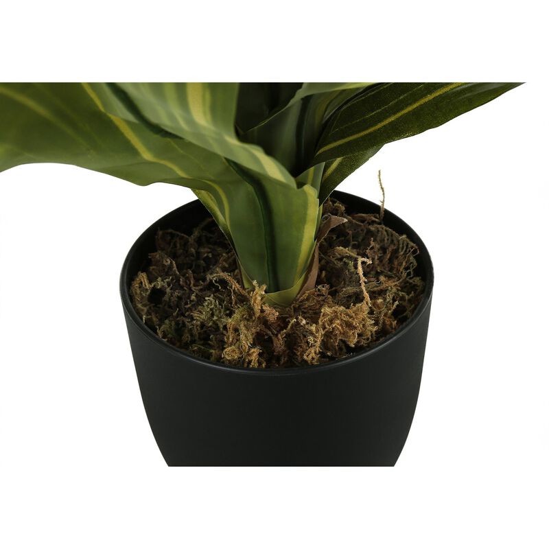 Monarch Specialties I 9573 - Artificial Plant, 17" Tall, Dracaena, Indoor, Faux, Fake, Table, Greenery, Potted, Real Touch, Decorative, Green Leaves, Black Pot image number 2