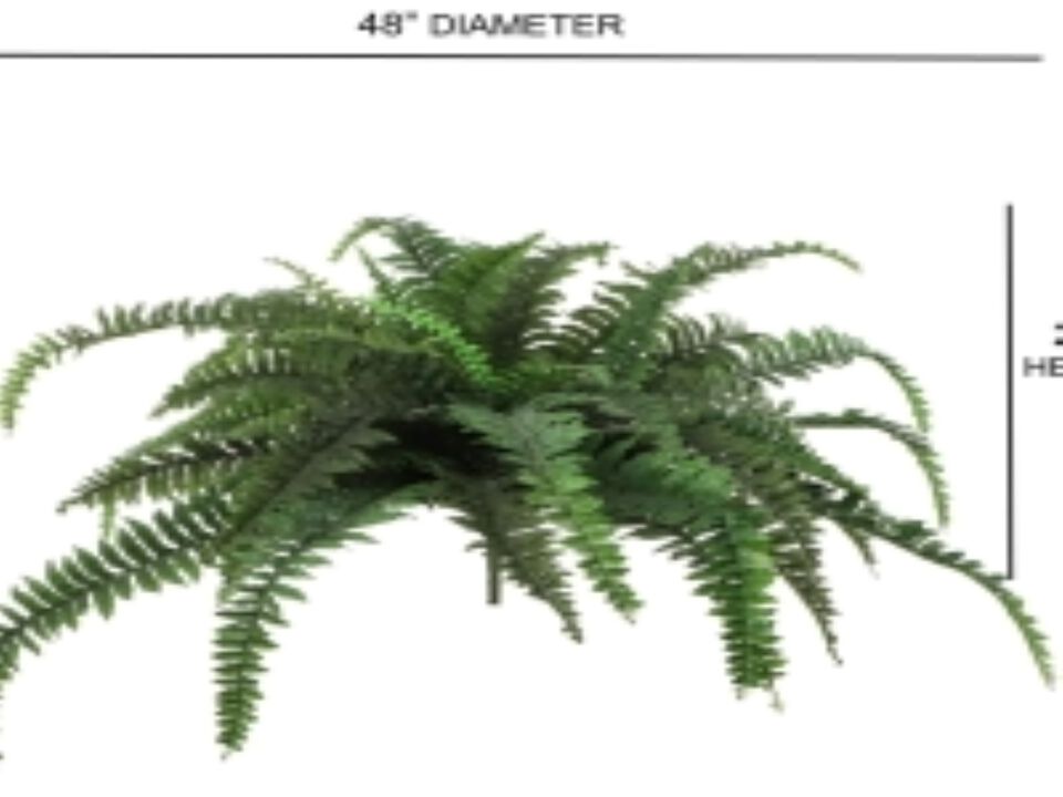 Boston Fern Artificial Plants Fake Silk for Outdoor or Indoor House Plant, Hanging Basket or Planter, 48” Inch Diameter Set of (6) 48 Fronds Each