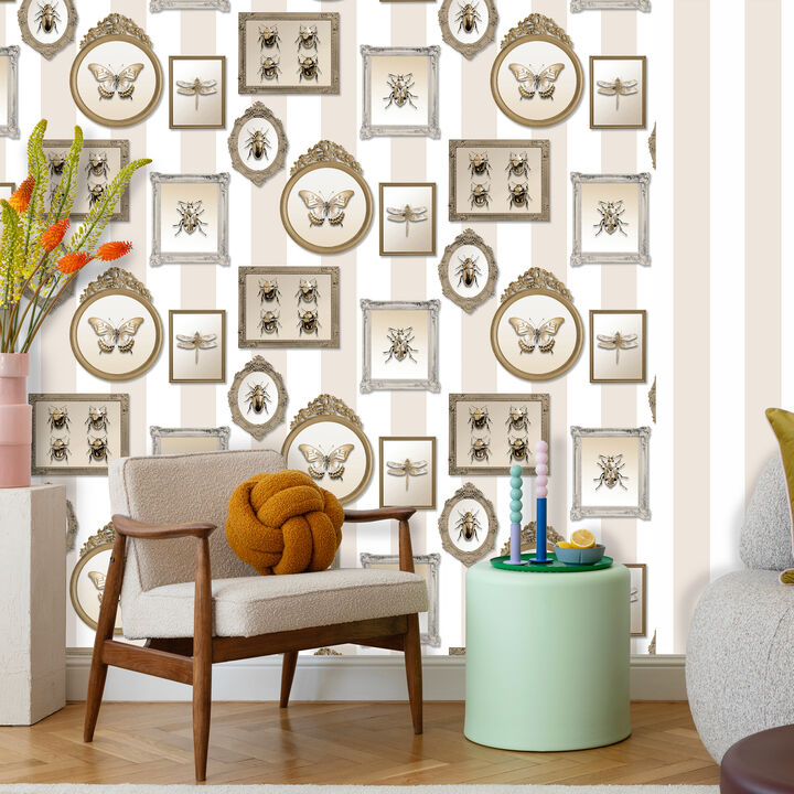 Entomology Gallery Wallpaper