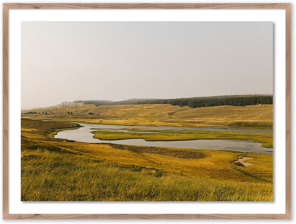 Where The Buffalo Roam