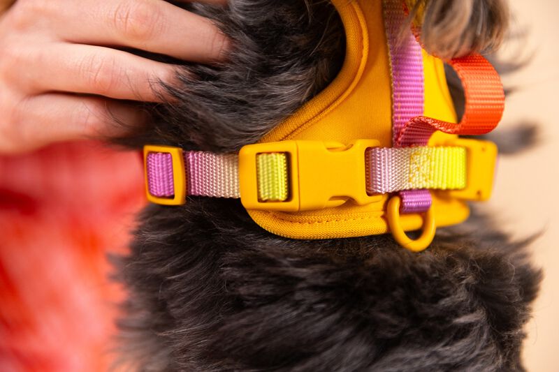 Kenna Dog Harness image number 4