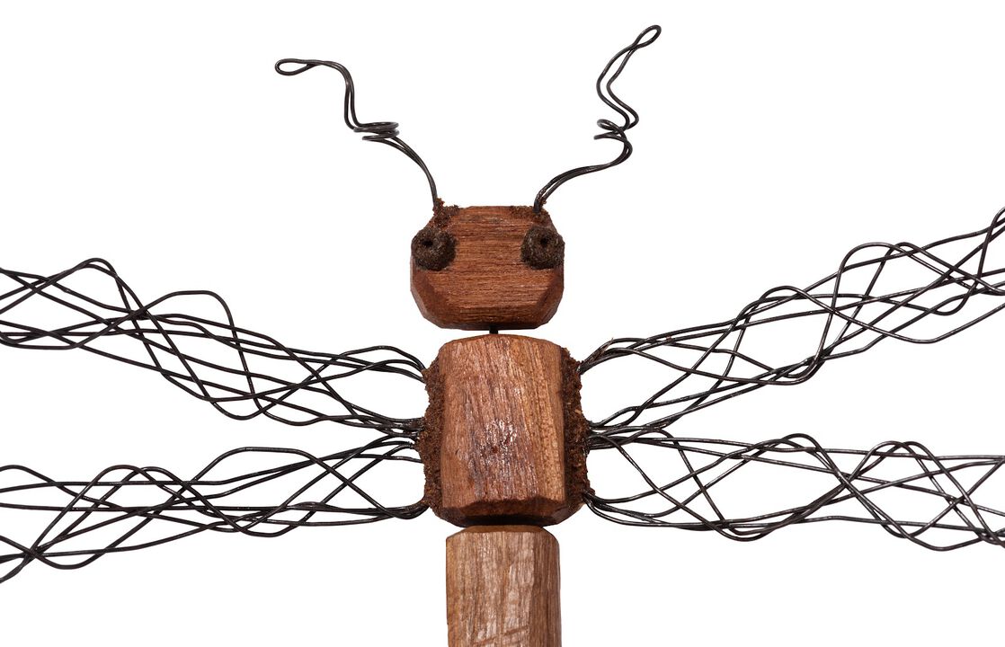 Wire Wing Small Dragonfly