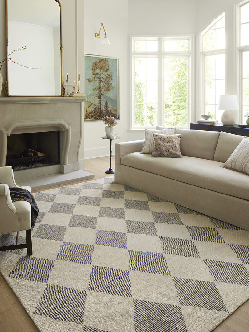 Francis FRA01 Beige/Charcoal 3'6" x 5'6" Rug