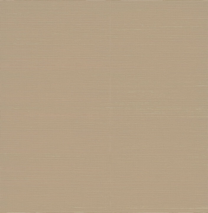 Weici Beige Sisal Grasscloth Wallpaper (Set of 2)