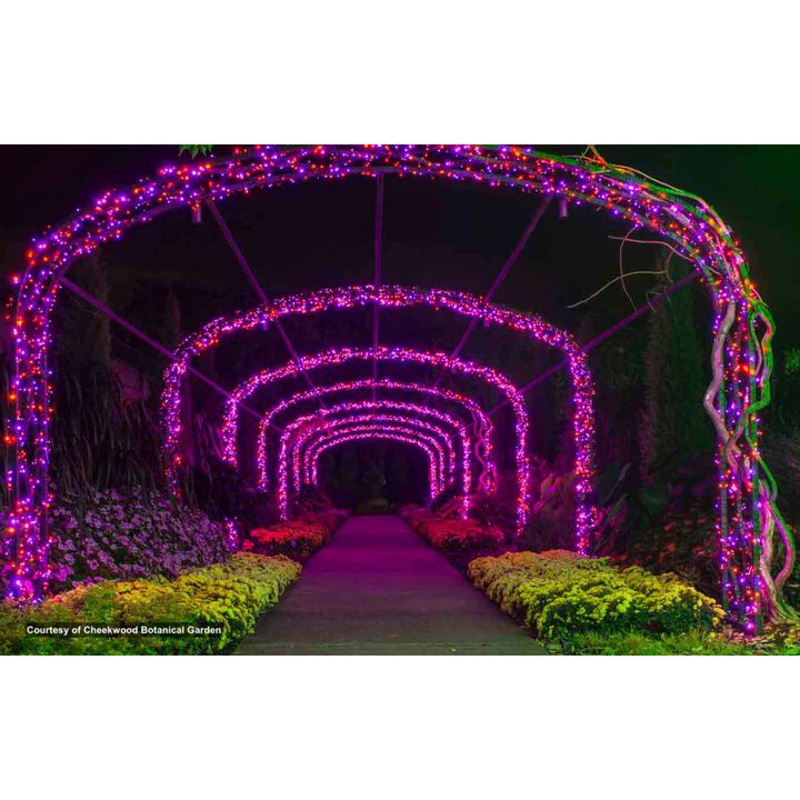 50 Purple LED Wide Angle Christmas String Lights - 25.17 ft Black Wire