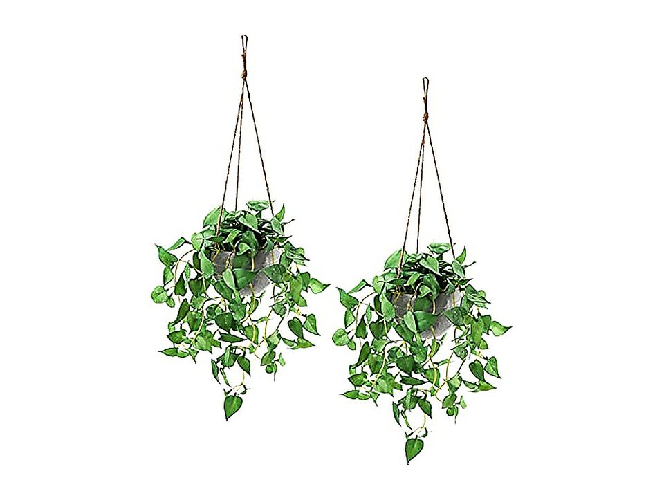 Hanging Plant Artificial Plants Pots 2 Pack Faux Anthurium Leaf Basket Wall Room