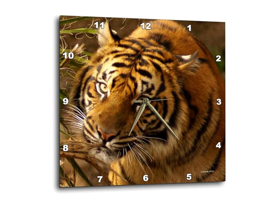 Bengal Tiger Wall Clock 15 Inch Home Decor