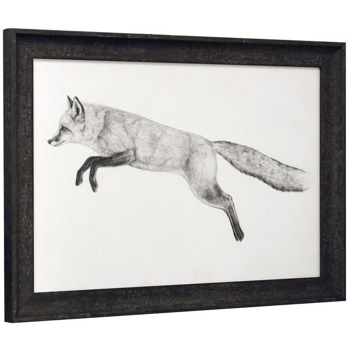 Flying Fox II Framed Print