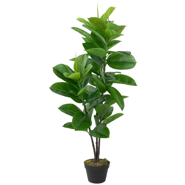 51" Artificial Green and Brown Potted Rubber Plant