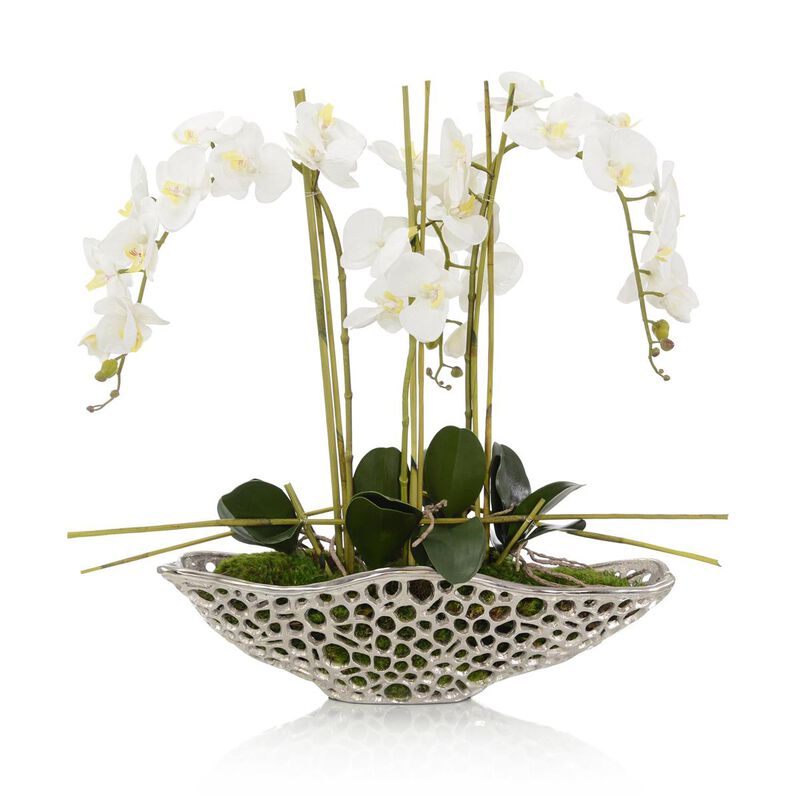 Orchid Display image number 0