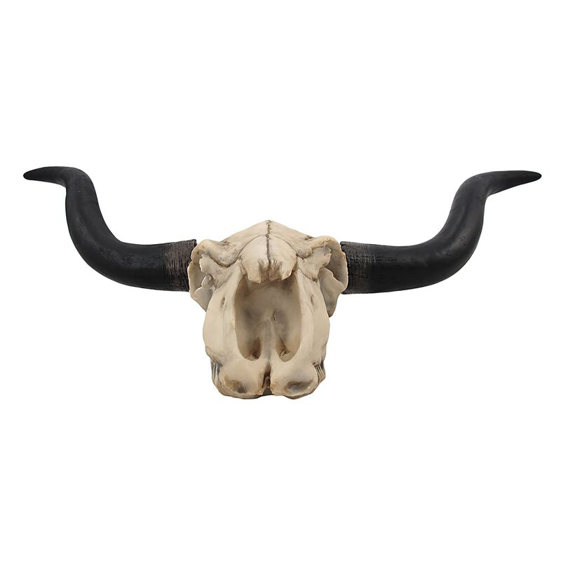 Huge Wall Hanging Longhorn Cow Skull 27in Wide Resin Long Horn Steer Wall Decor image number 1