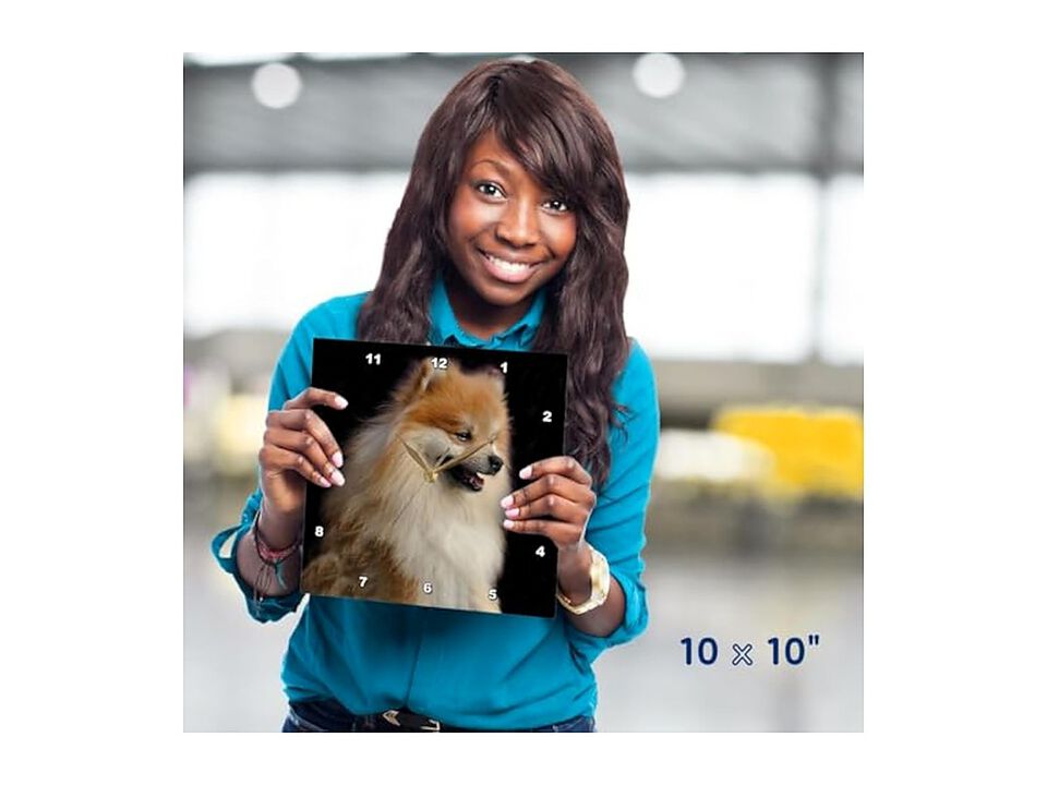 Pomeranian Portrait Wall Clock 10 Inch Home Decor