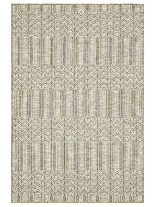 Tortuga 3'3" x 5' Beige Rug
