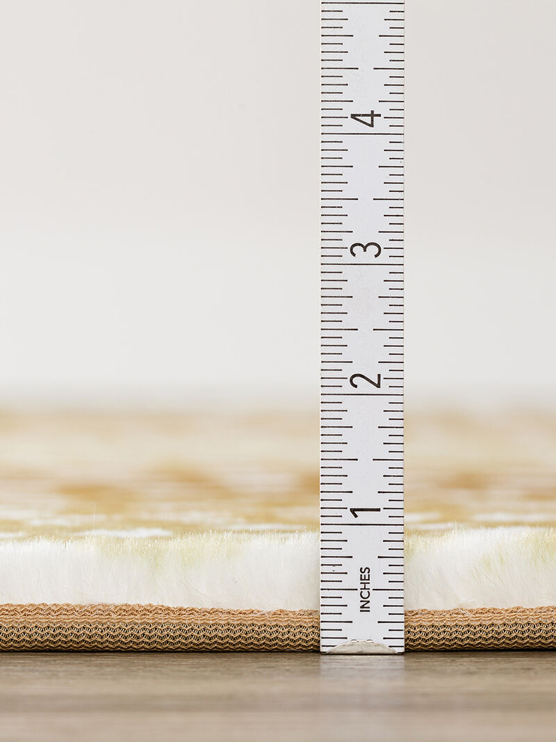 Akina AK3 Gold 2'3" x 7'6" Rug