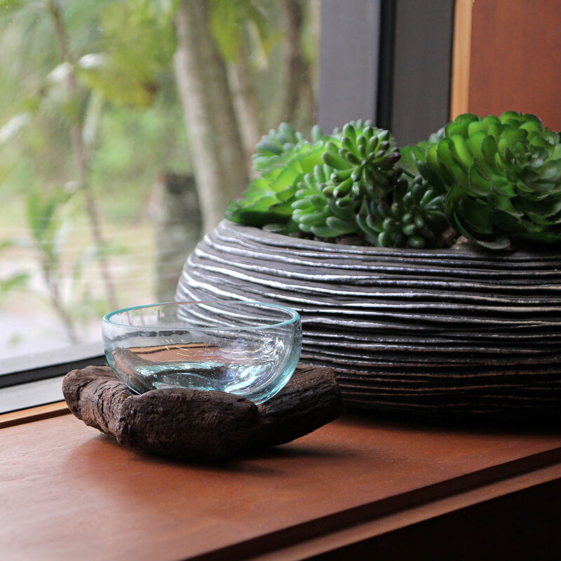 Glass and Teak Driftwood Bowl &ndash; 3.25&rdquo; High Decorative Succulent Centerpiece image number 6