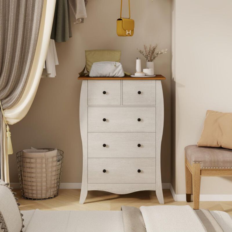 Closet Storage Organizer with 5 Folding Fabric Drawers and Anti-Tipping Kit for Safe and Efficient Storage