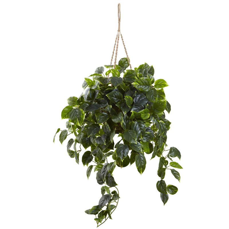 Hivvago Pothos Hanging Basket UV Resistant (Indoor/Outdoor)