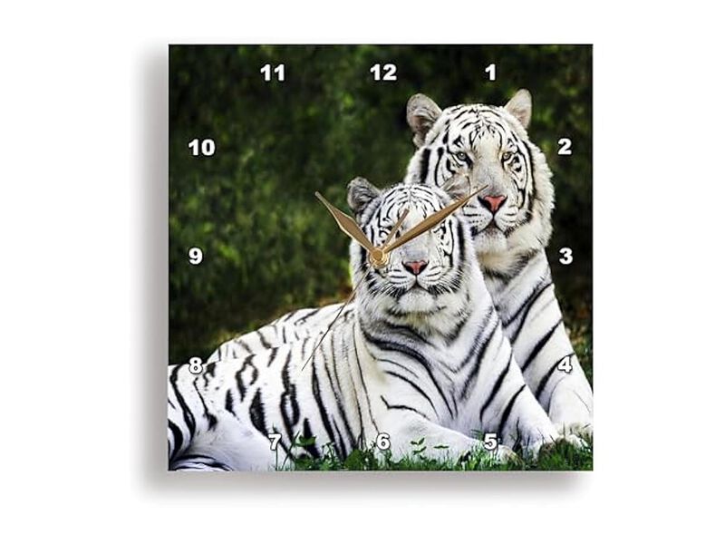 White Tigers Wall Clock 15 Inch Home Decor image number 1
