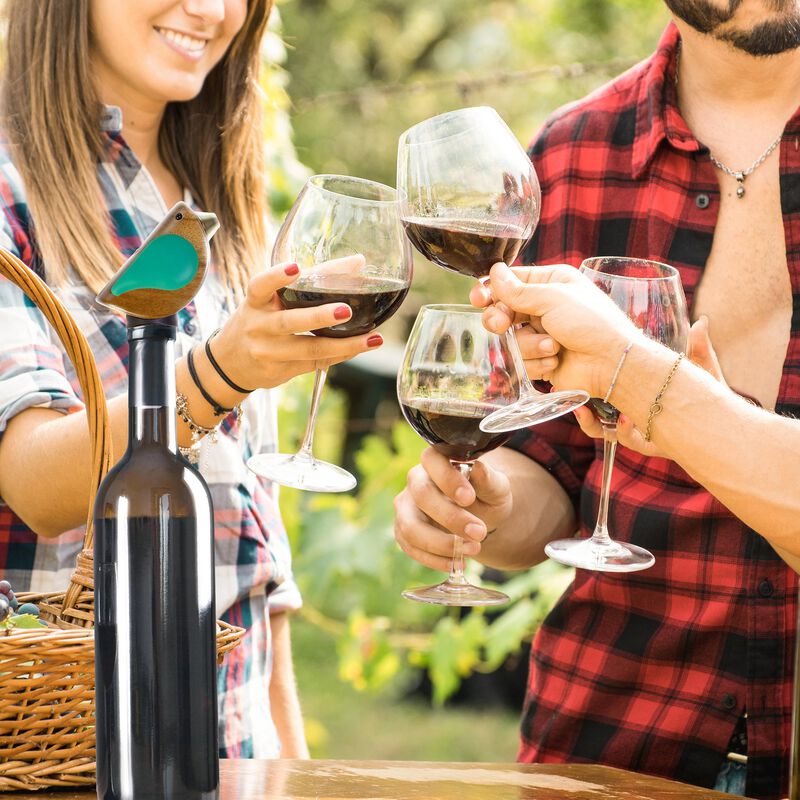 Songbird Specialties&reg; Bottle Pourer