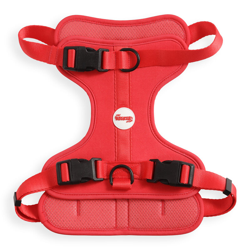 Arlo Adjustable Soft Padded No Pull Pet Harness with 3 Buckles and 3 Leash Clips