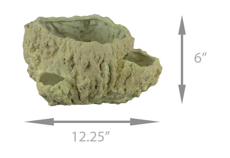 Off-White Fossilized Coral Decorative Coastal Decor Vase image number 3