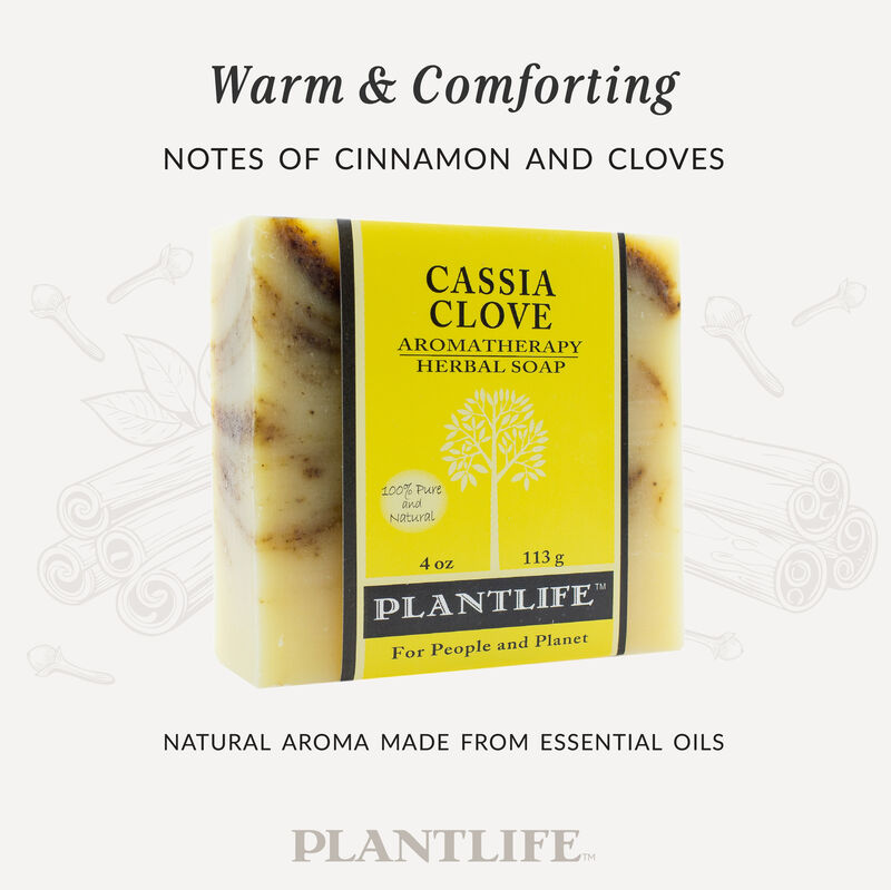 Plantlife Bar Soap - Cassia Clove 6 Pack image number 2