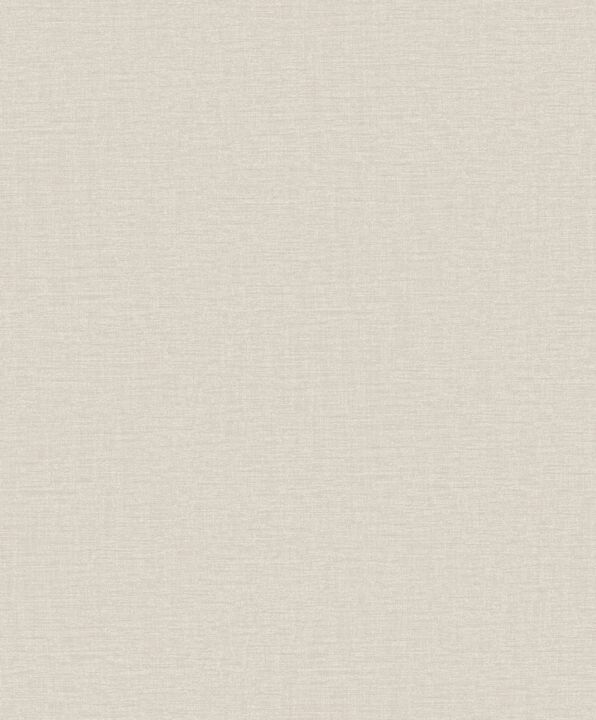 Off The Wall Nuance Plain Texture Beige Wallpaper LB25131