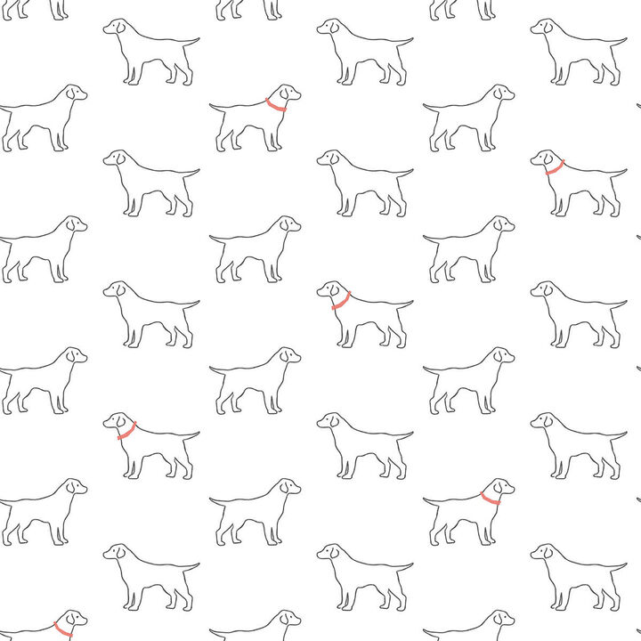 Yoop White Dog Wallpaper