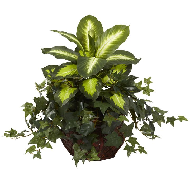 HomPlanti Dieffenbachia & Ivy w/Decorative Planter