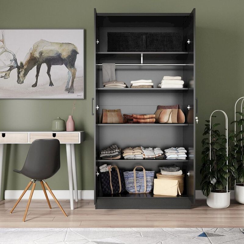 Mirrored 2 Door Wardrobe in Black Color