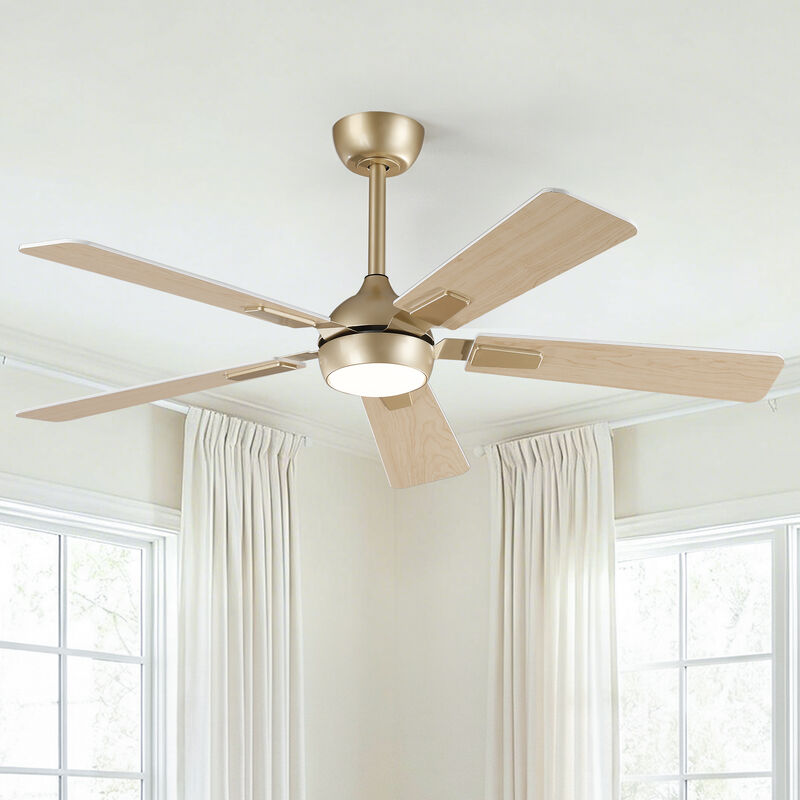 52" Modern Gold Reversible Dimmable 6-Speed Smart Ceiling Fan with Light, APP Control and Remote image number 5