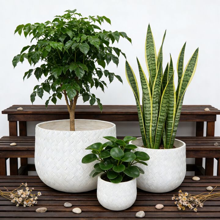 WOW PIONEER Set of 3 Assorted Sizes Round Magnesium Oxide Planters with Drainage Holes, for Indoor Outdoor Home Garden Patio Balcony Porch Plant Display