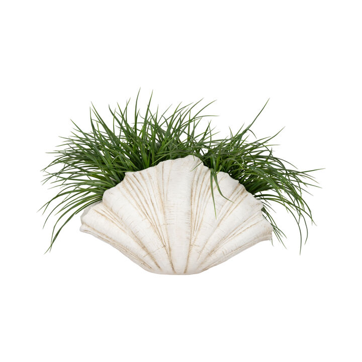 22" Scallop Shell Decor, White