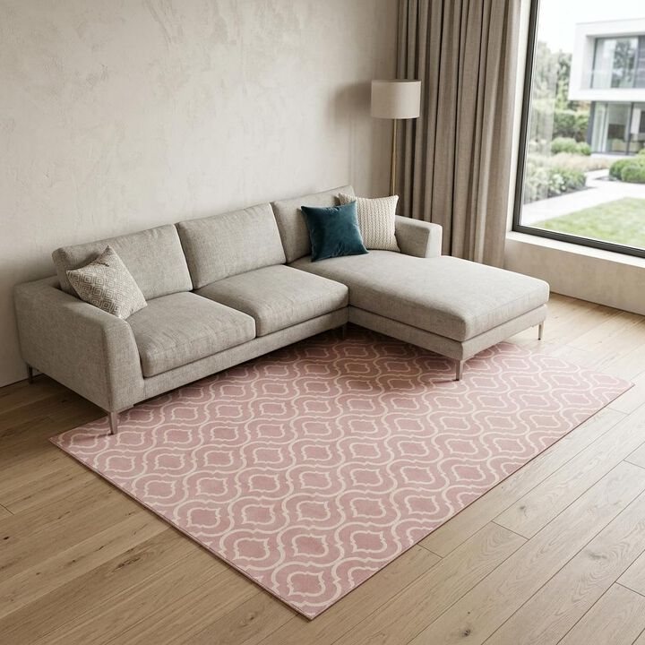 HomeRoots Moroccan Area Rug