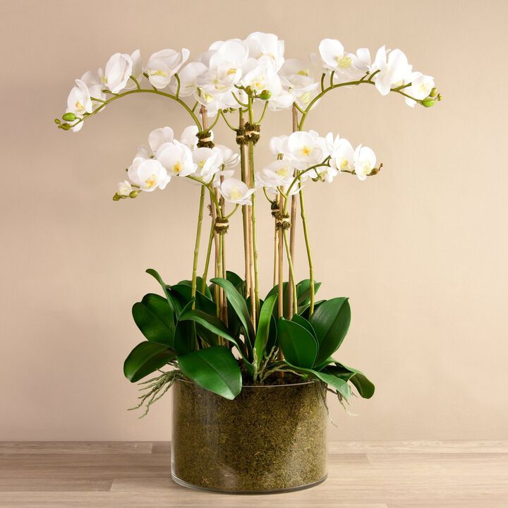 Large Faux Orchid Arrangement In Glass Vase - 33”